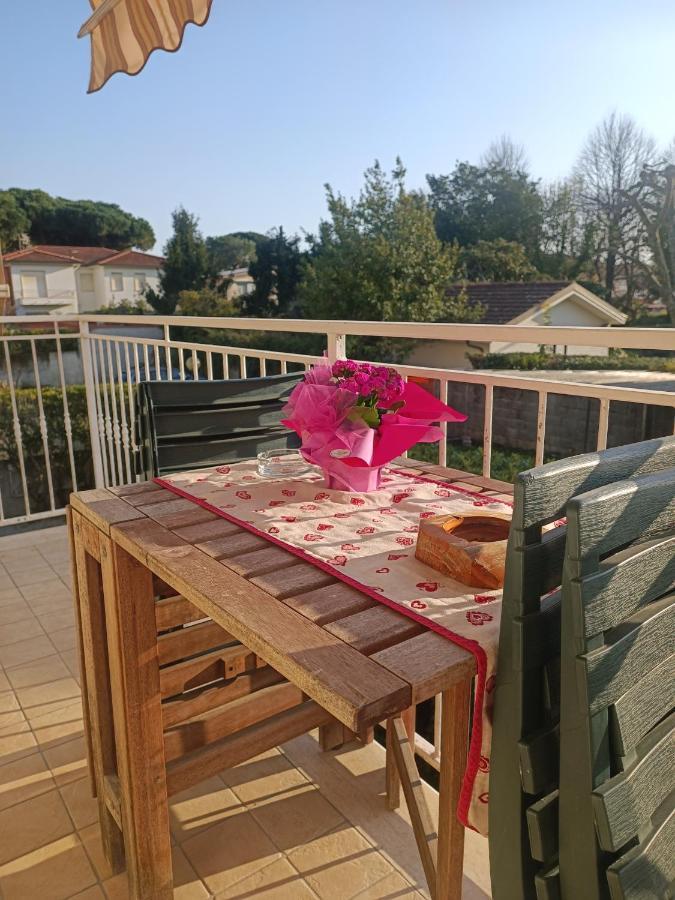 Le Palme 98 "Casa Vacanze" Lido di Camaiore Luaran gambar
